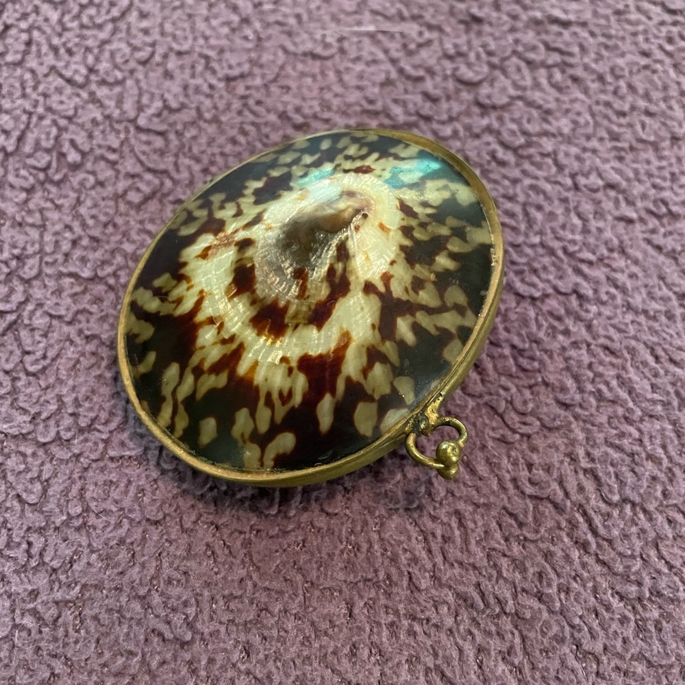 *3 for$20* Shell Trinket Box
